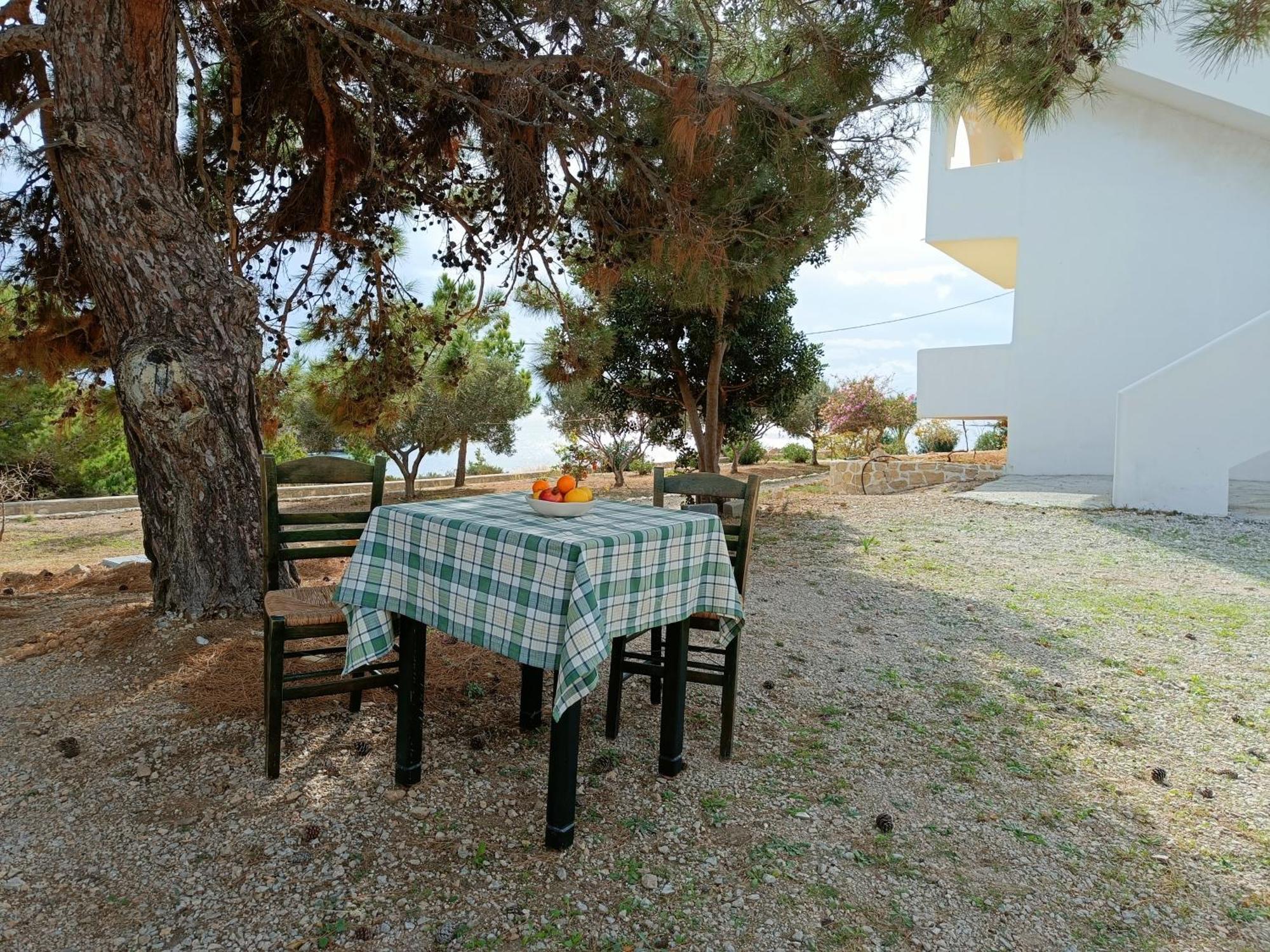 Studios Fokia Beach Amoopi Exterior foto